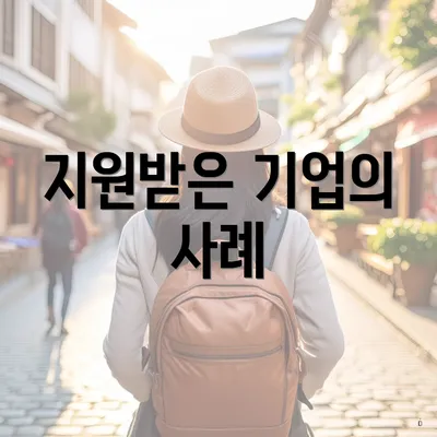 지원받은 기업의 사례