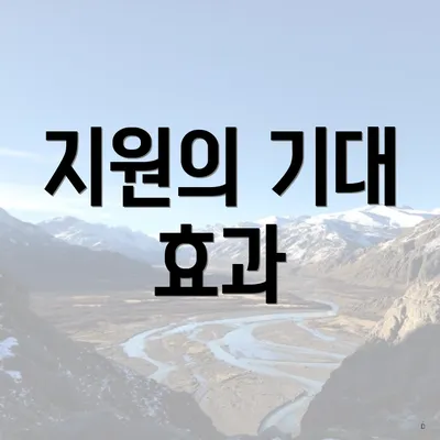 지원의 기대 효과