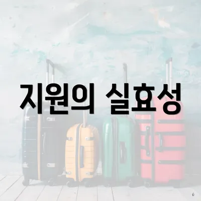 지원의 실효성