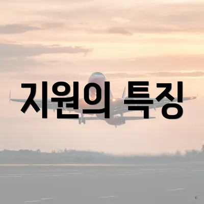 지원의 특징