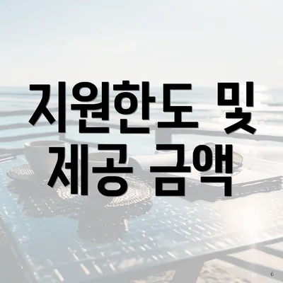 지원한도 및 제공 금액