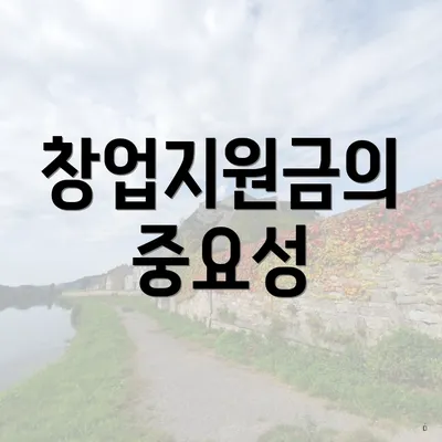 창업지원금의 중요성