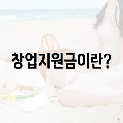 창업지원금이란?