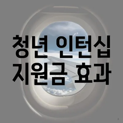 청년 인턴십 지원금 효과
