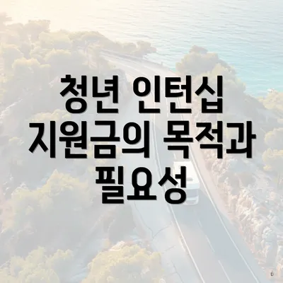 청년 인턴십 지원금의 목적과 필요성