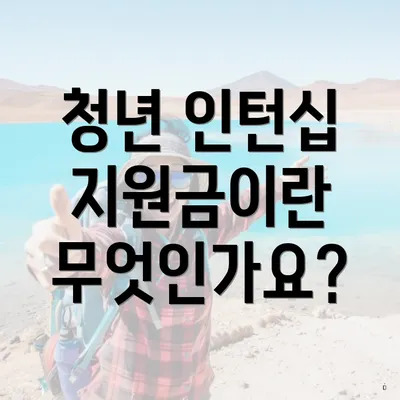 청년 인턴십 지원금이란 무엇인가요?