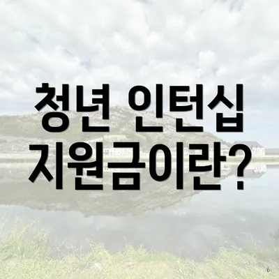 청년 인턴십 지원금이란?