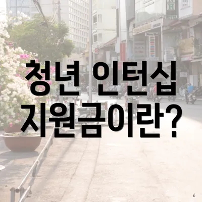 청년 인턴십 지원금이란?
