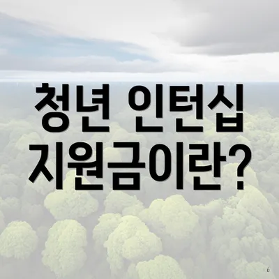 청년 인턴십 지원금이란?