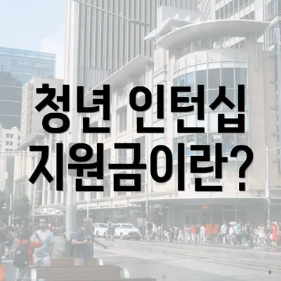 청년 인턴십 지원금이란?