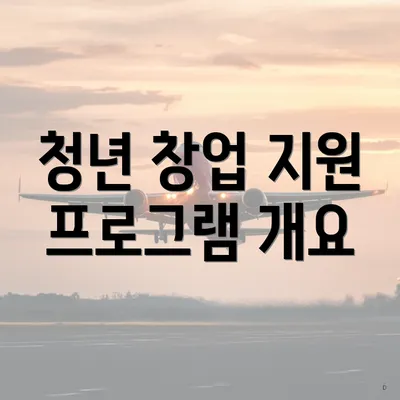 청년 창업 지원 프로그램 개요