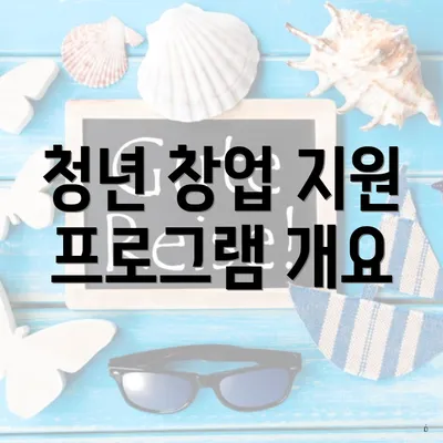 청년 창업 지원 프로그램 개요