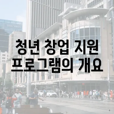 청년 창업 지원 프로그램의 개요
