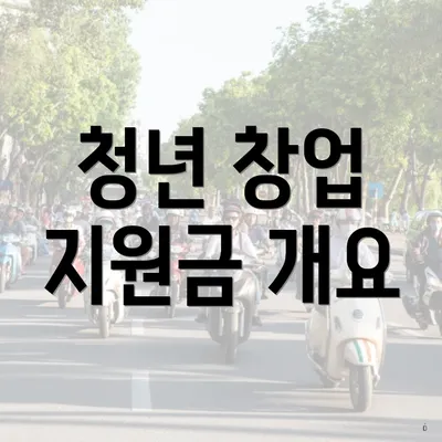 청년 창업 지원금 개요