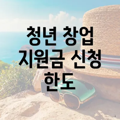 청년 창업 지원금 신청 한도