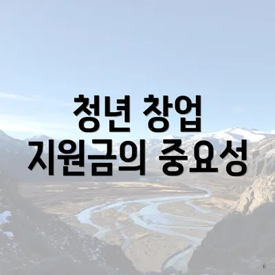 청년 창업 지원금의 중요성