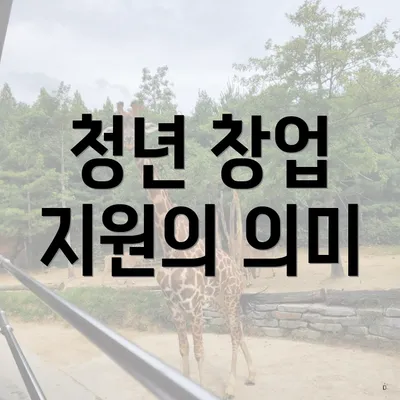 청년 창업 지원의 의미