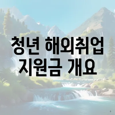 청년 해외취업 지원금 개요