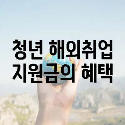 청년 해외취업 지원금의 혜택