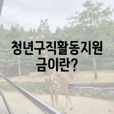 청년구직활동지원금이란?