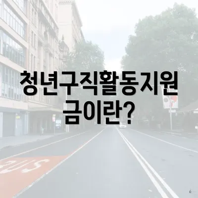 청년구직활동지원금이란?