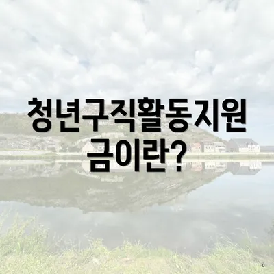 청년구직활동지원금이란?