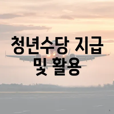 청년수당 지급 및 활용