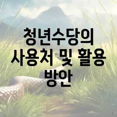청년수당의 사용처 및 활용 방안