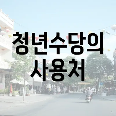 청년수당의 사용처
