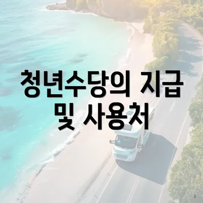 청년수당의 지급 및 사용처