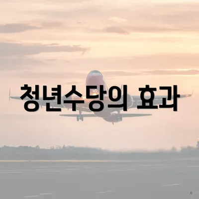 청년수당의 효과