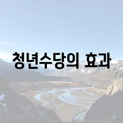 청년수당의 효과