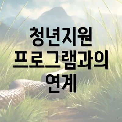 청년지원 프로그램과의 연계