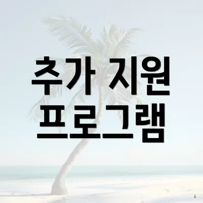 추가 지원 프로그램