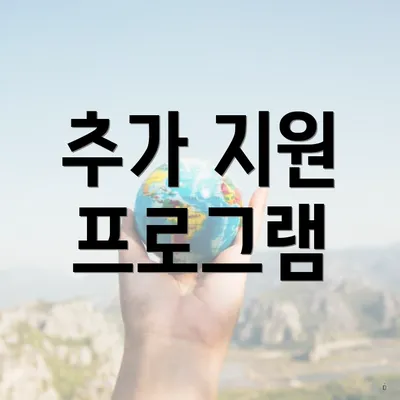 추가 지원 프로그램