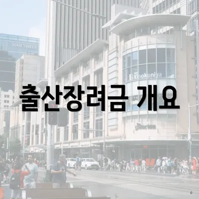 출산장려금 개요