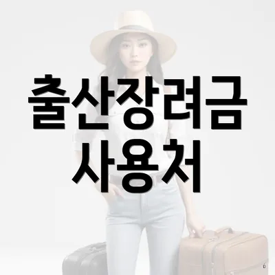 출산장려금 사용처