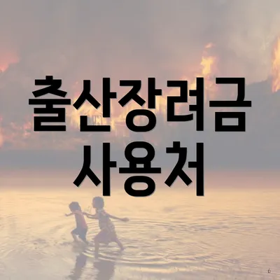 출산장려금 사용처