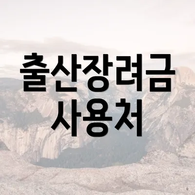 출산장려금 사용처