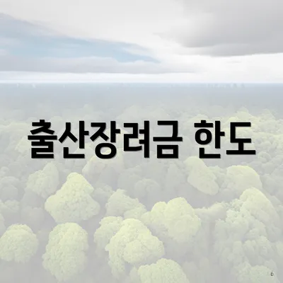 출산장려금 한도