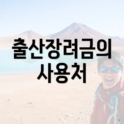 출산장려금의 사용처