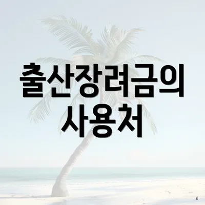 출산장려금의 사용처