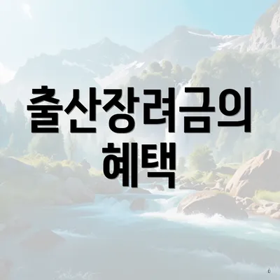 출산장려금의 혜택