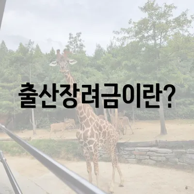 출산장려금이란?
