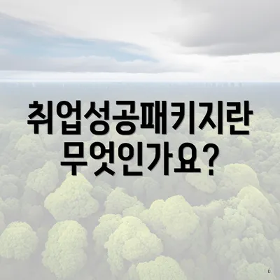 취업성공패키지란 무엇인가요?