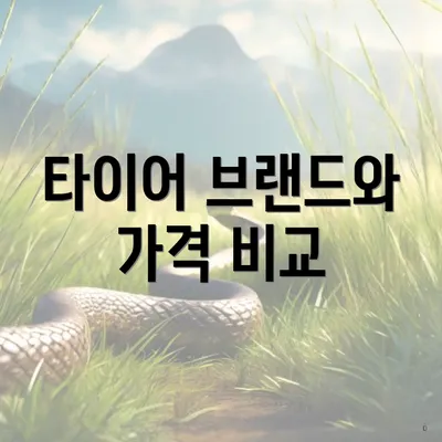 타이어 브랜드와 가격 비교