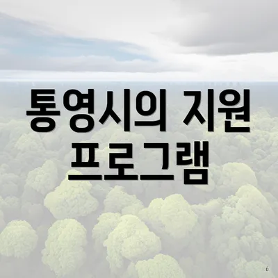 통영시의 지원 프로그램