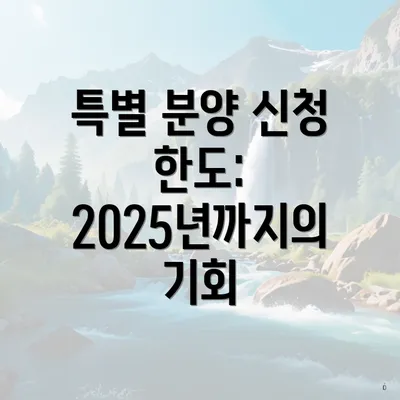 특별 분양 신청 한도: 2025년까지의 기회