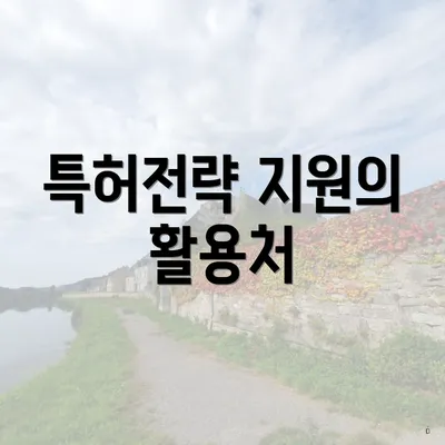 특허전략 지원의 활용처