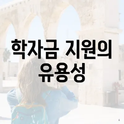 학자금 지원의 유용성